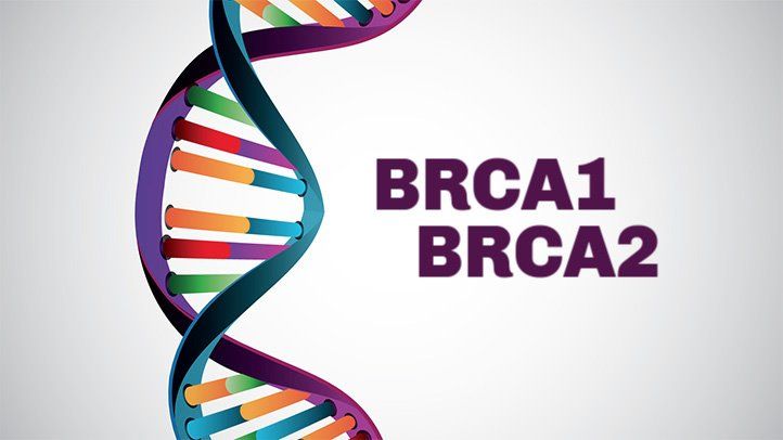Γονίδια brca1 brca2 και καρκίνος